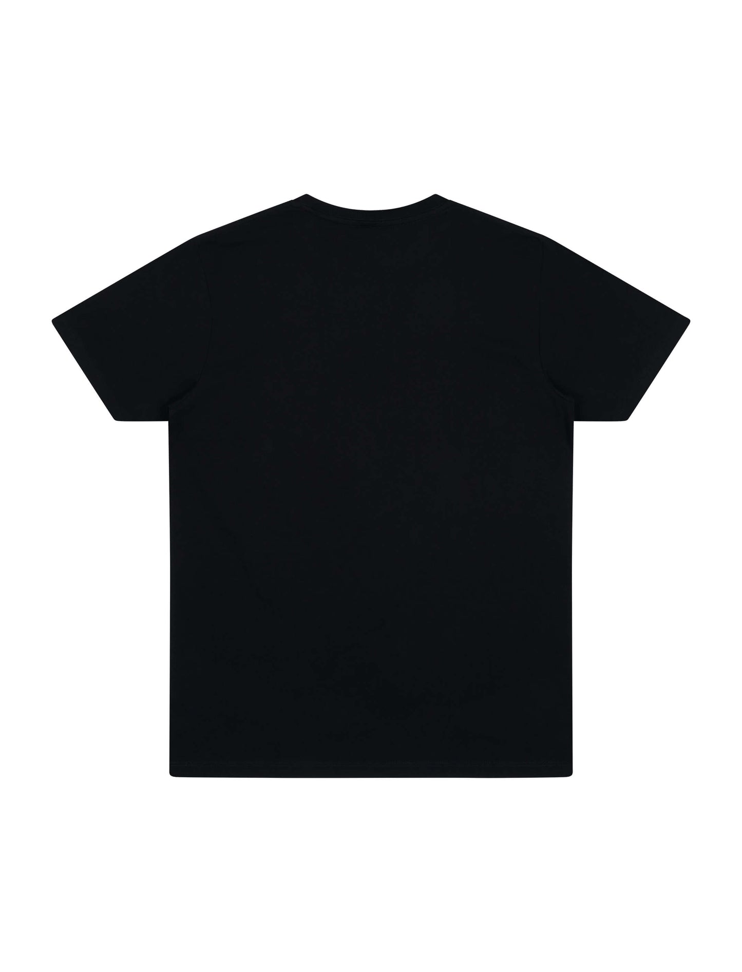 Earth Positive® Premium Jersey T-shirt - Black - M