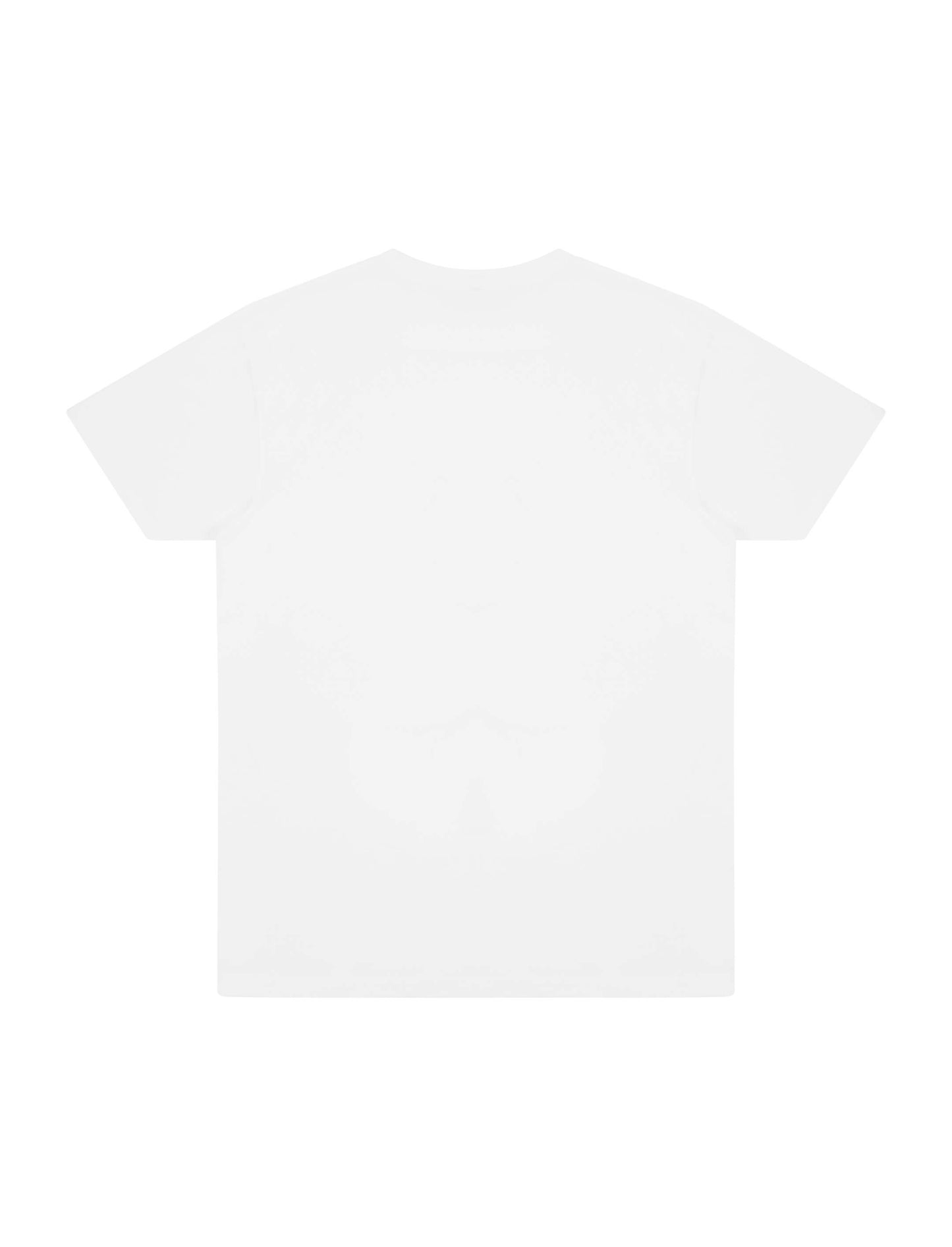 Earth Positive® Premium Jersey T-shirt - White - 3XL