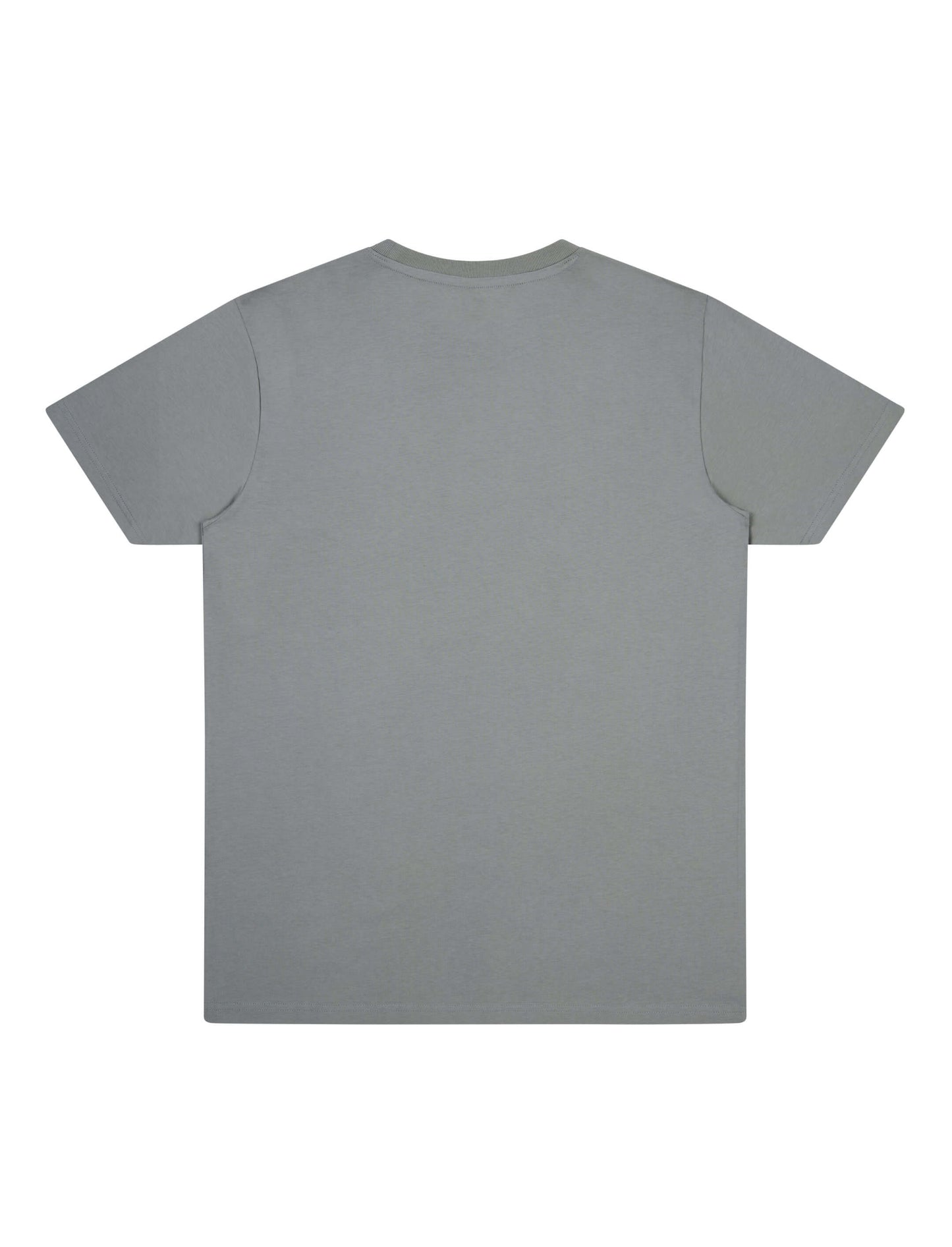 Earth Positive® Oversized T-shirt - Light Grey - L