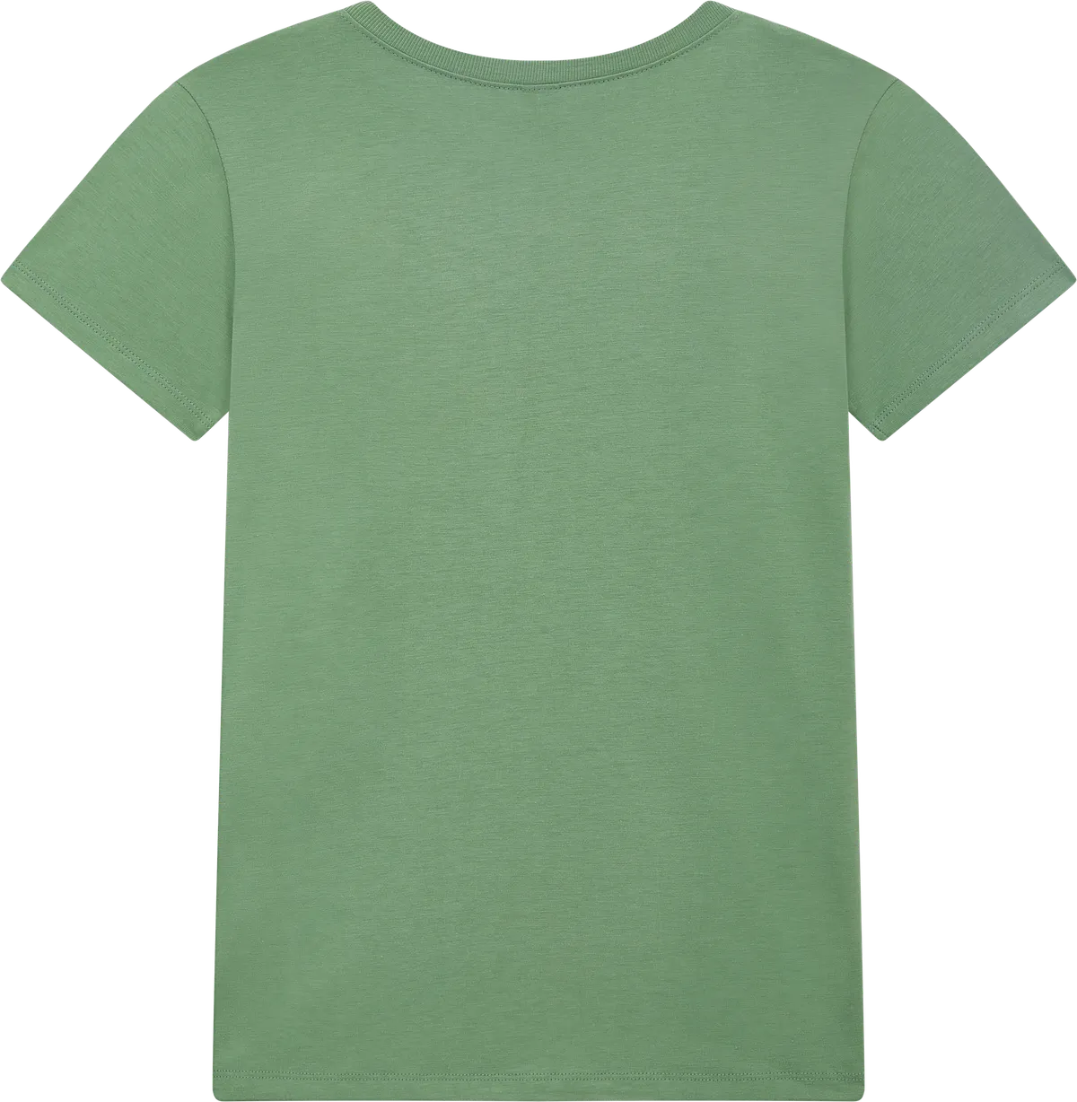 BAM02-BGR1 - Bamboo Women's Jersey T-shirt - Bamboo Green