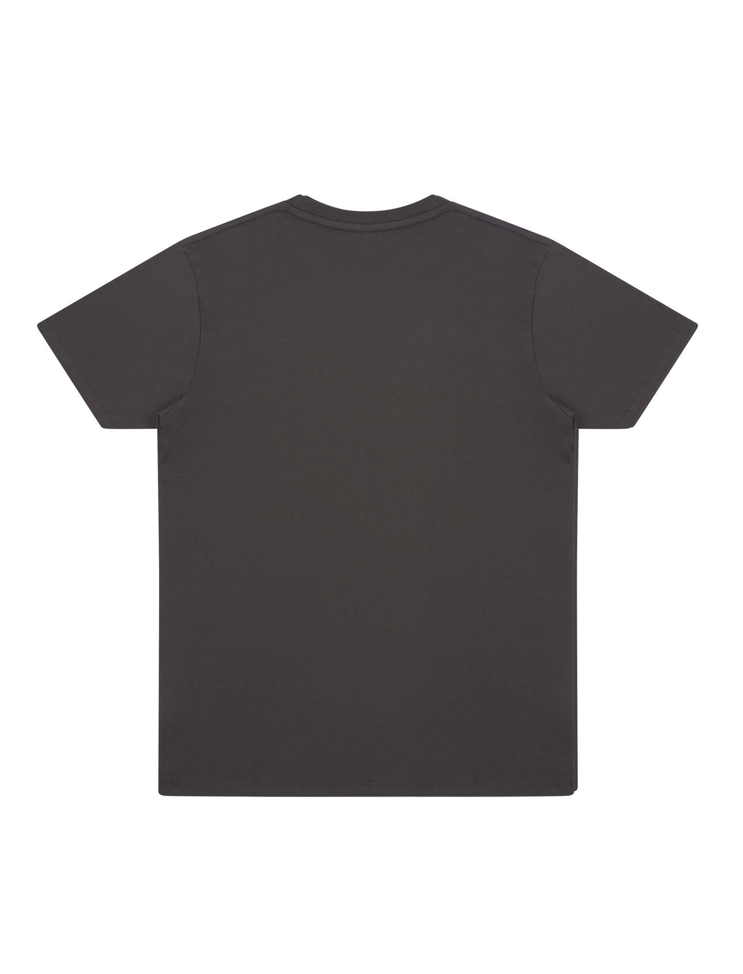 Earth Positive® Premium Jersey T-shirt - Faded Black Deep Grey - 2XL